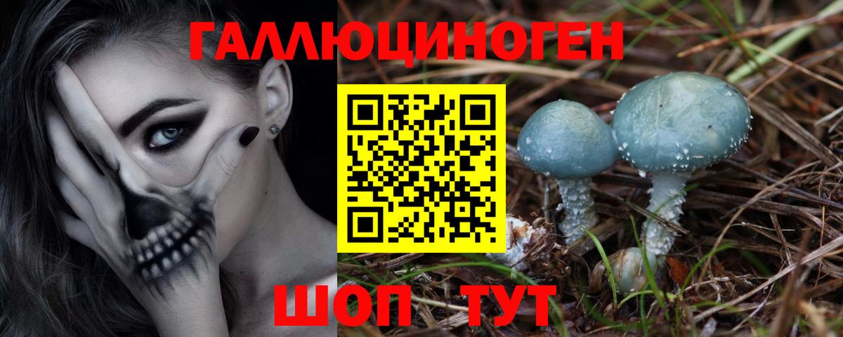 Сланцы  Псилоцибиновые грибы Magic Shrooms  Галлюциногенные грибы Psilocybine cubensis  Вход с VPN 