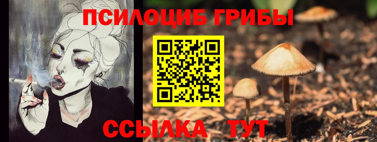 Сланцы  Вход с VPN  Марихуана  Меф МЯУ МЯУ   ГАШИШ  АМФЕТАМИН  