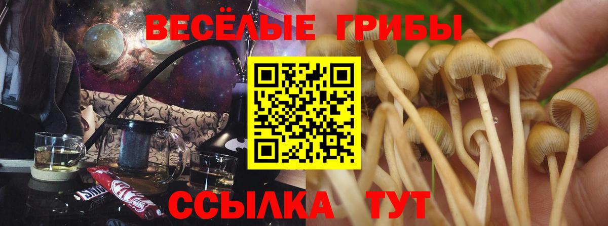 Галлюциногенные грибы ЛСД Сланцы