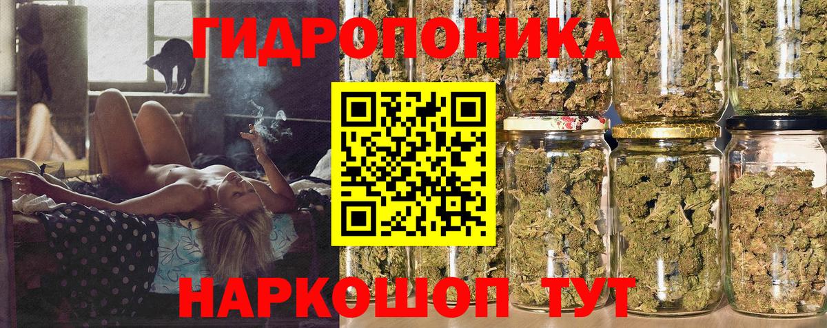 МАРИХУАНА Amnesia  МАРИХУАНА гибрид  Канабис Amnesia  Конопля конопля  Сланцы  Вход с VPN 