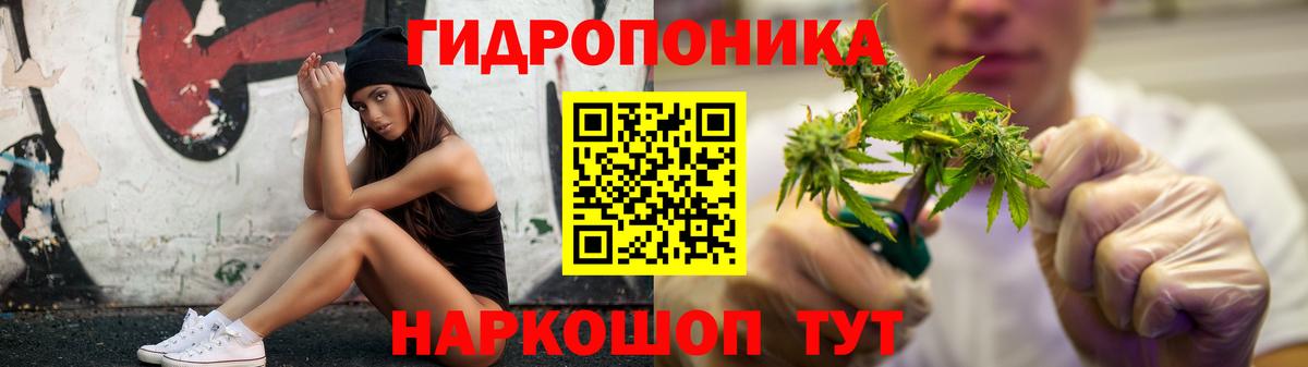Каннабис семена Сланцы